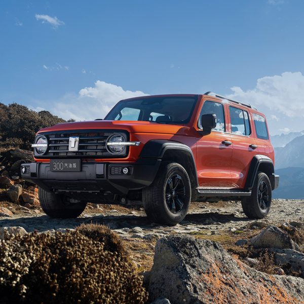 gwm-tank-300-2025-2-0t-conqueror-four-wheel-drive-wey-car-off-road-chinese-brand-crossover-heavy-duty-left-hand-drive-petrol-suv