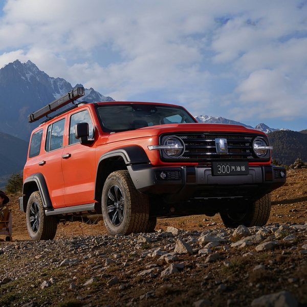 gwm-tank-300-2025-2-0t-conqueror-four-wheel-drive-wey-car-off-road-chinese-brand-crossover-heavy-duty-left-hand-drive-petrol-suv