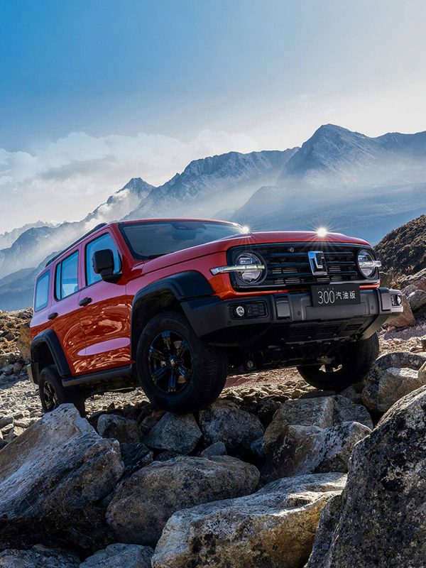 gwm-tank-300-2025-2-0t-conqueror-four-wheel-drive-wey-car-off-road-chinese-brand-crossover-heavy-duty-left-hand-drive-petrol-suv