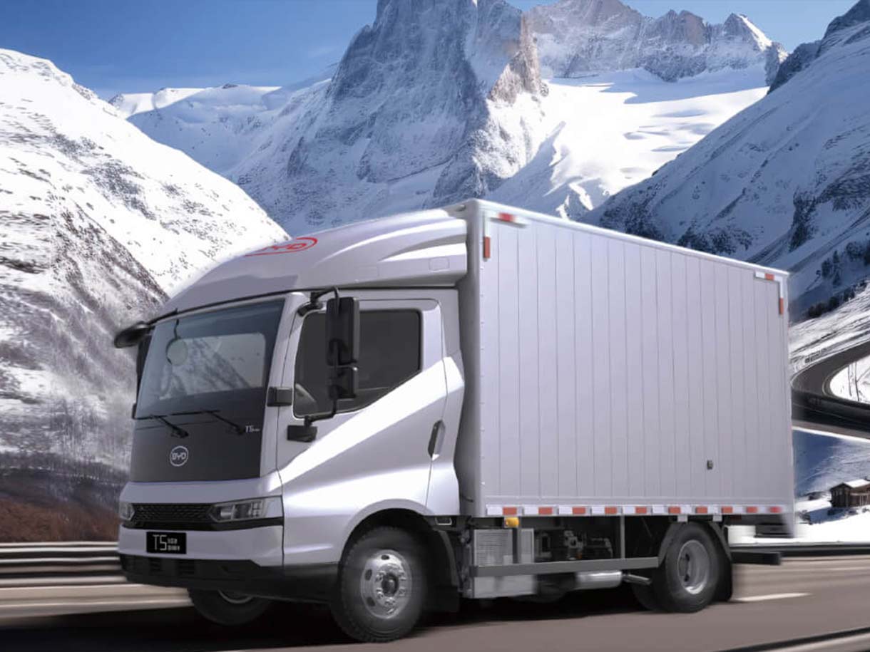 safety performance of BYD T5-DM